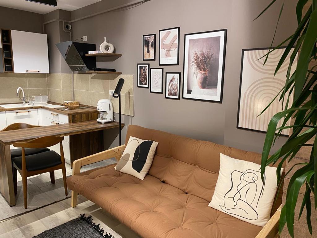 Shi Zi Junior Suite Iasi Exterior foto
